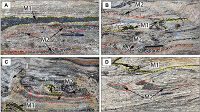 Reaction-diffusion modelling of petrological mixing mechanisms in the evolution of continental crusts